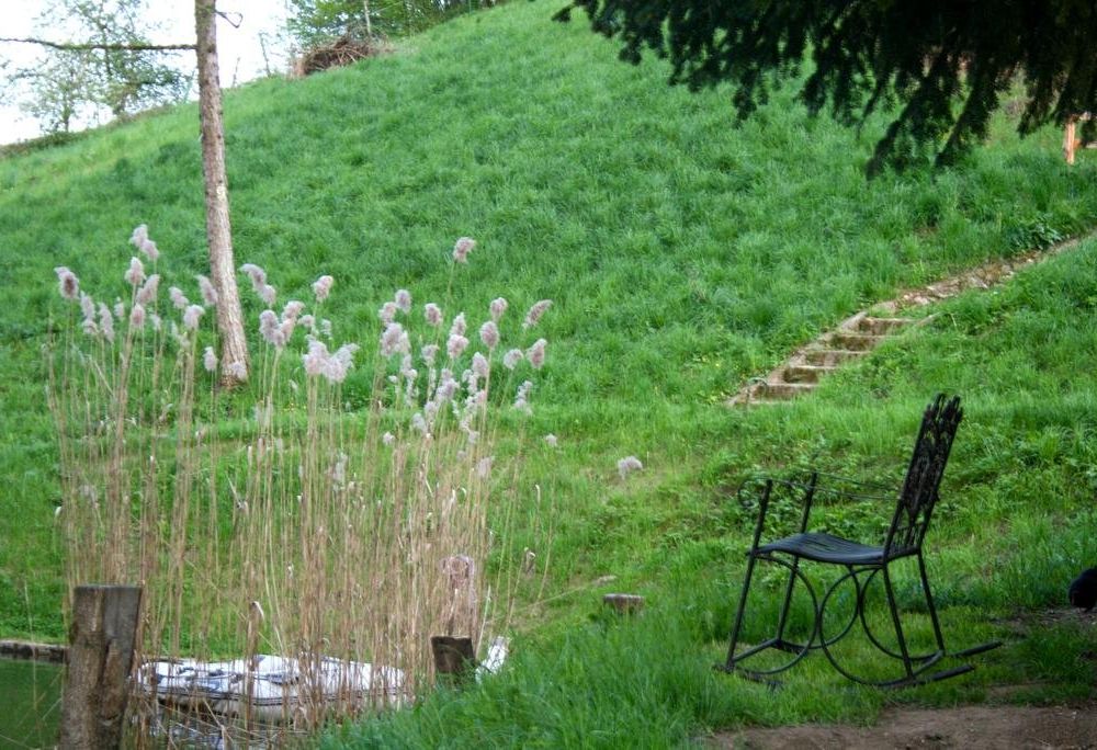 Outdoor Pictures 7