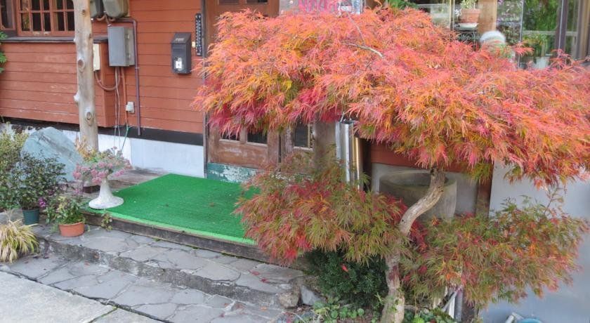 Outdoor Pictures 11