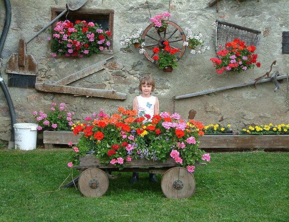 Outdoor Pictures 11