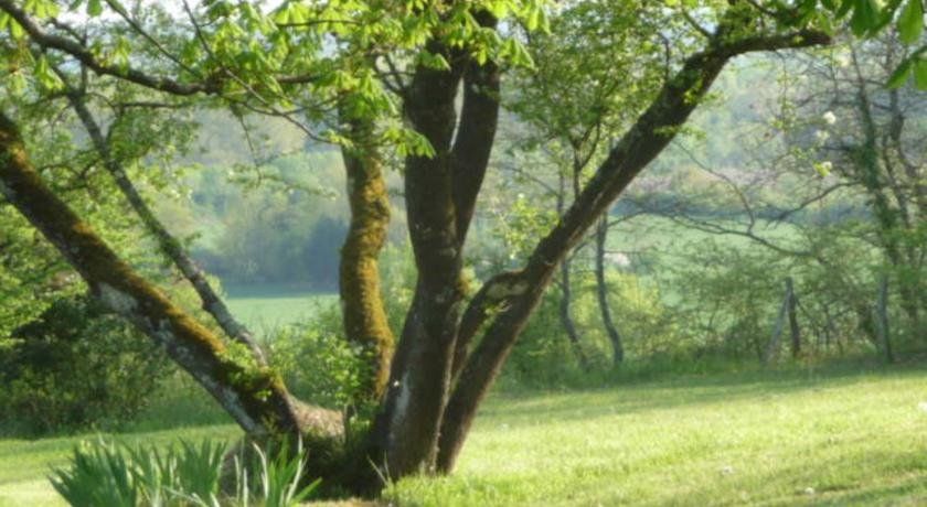 Outdoor Pictures 10