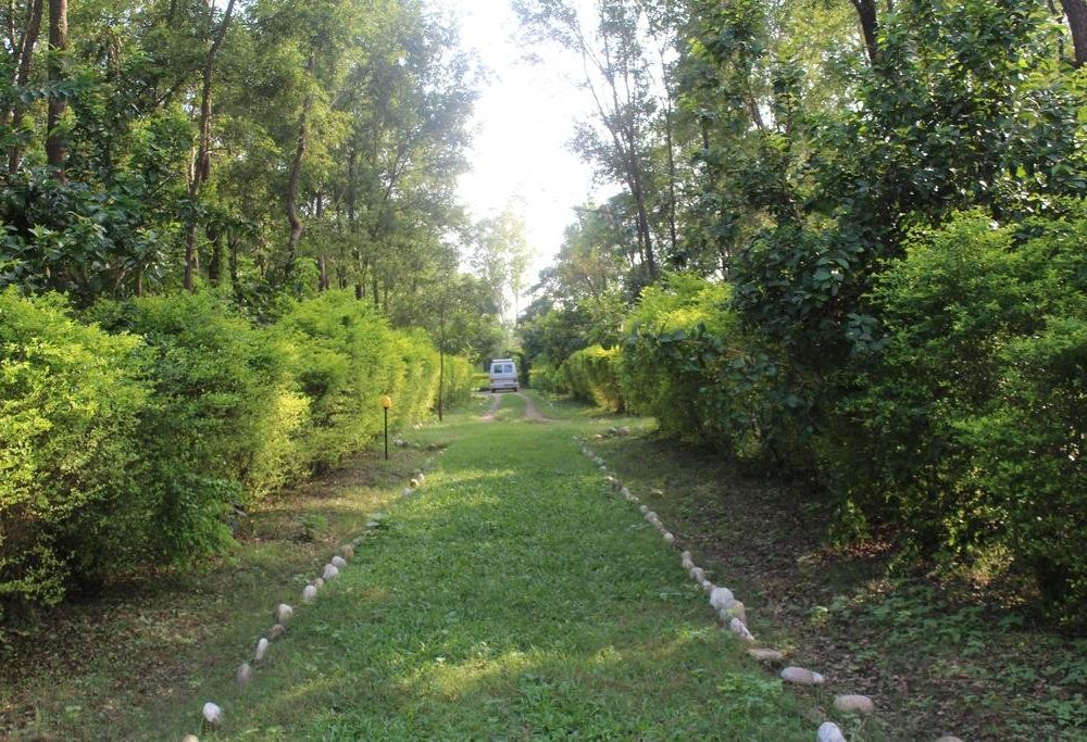 Outdoor Pictures 18