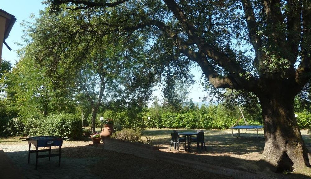 Outdoor Pictures 8