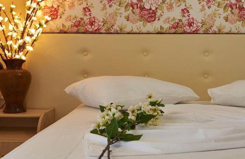 Hotel Viky