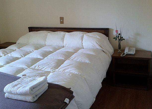 Hotel Los Andes