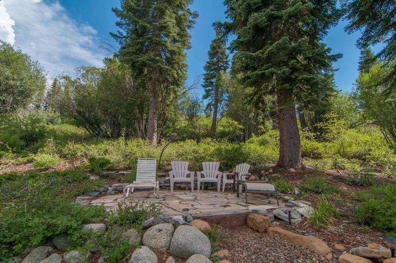 Outdoor Pictures 9