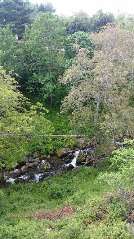 Outdoor Pictures 22