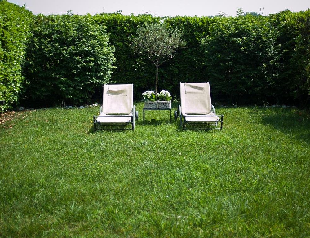 Outdoor Pictures 13