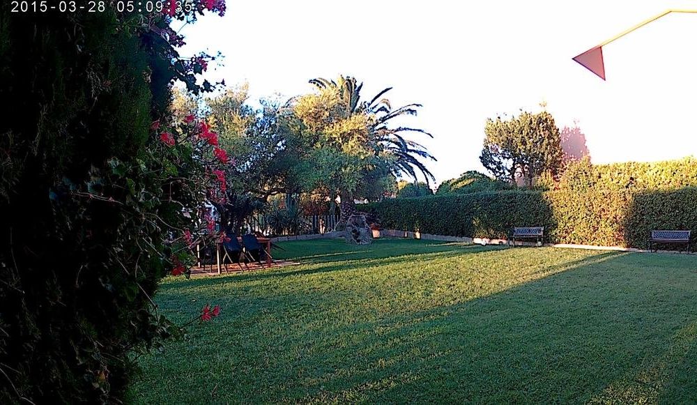 Outdoor Pictures 19
