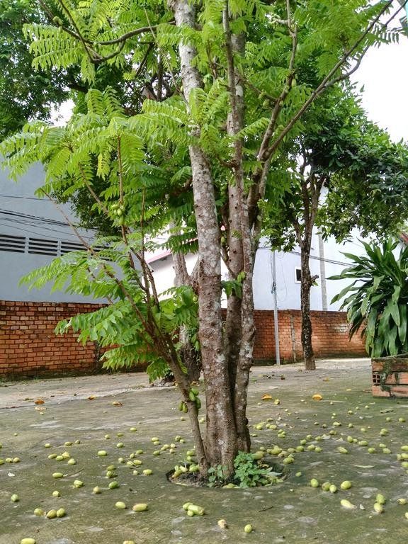 Outdoor Pictures 18
