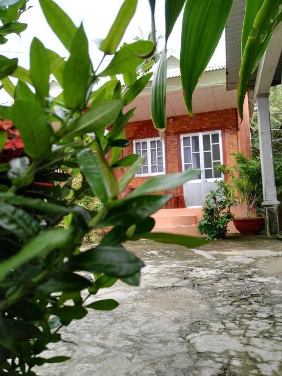 Outdoor Pictures 15