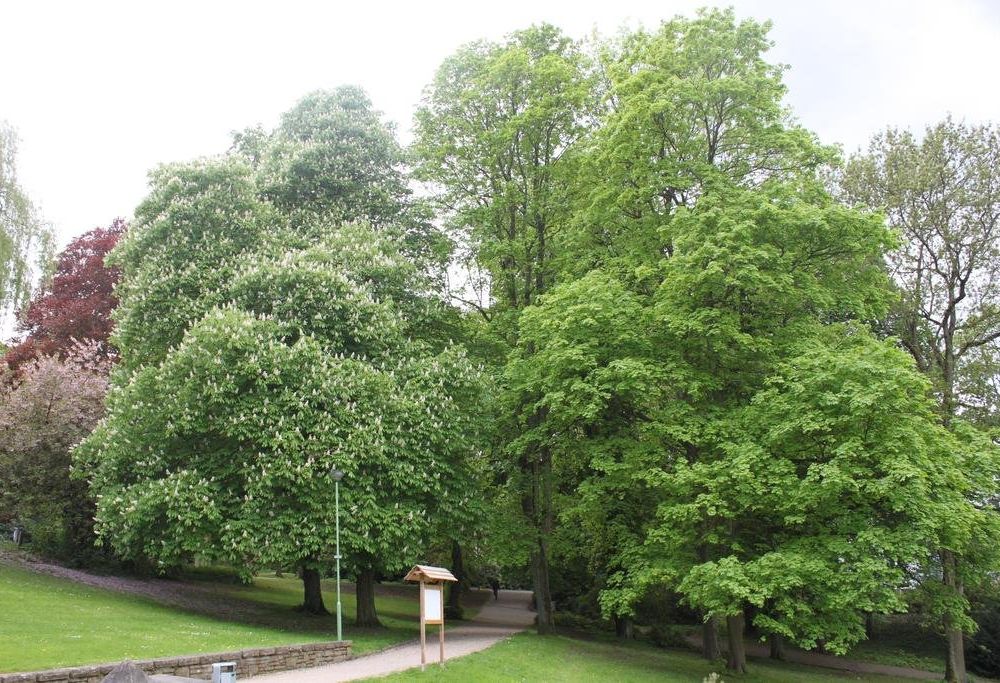 Outdoor Pictures 22