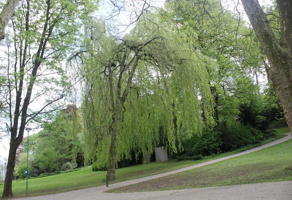 Outdoor Pictures 23
