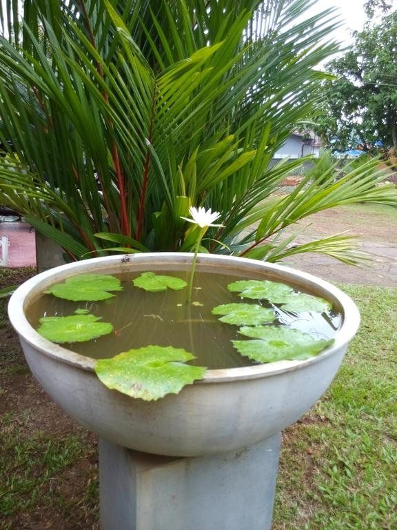 Outdoor Pictures 22