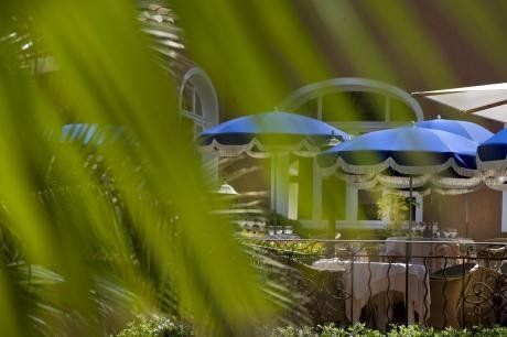 Outdoor Pictures 13