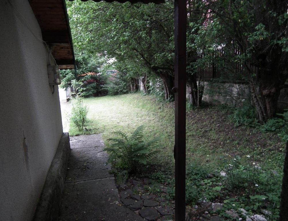 Outdoor Pictures 19