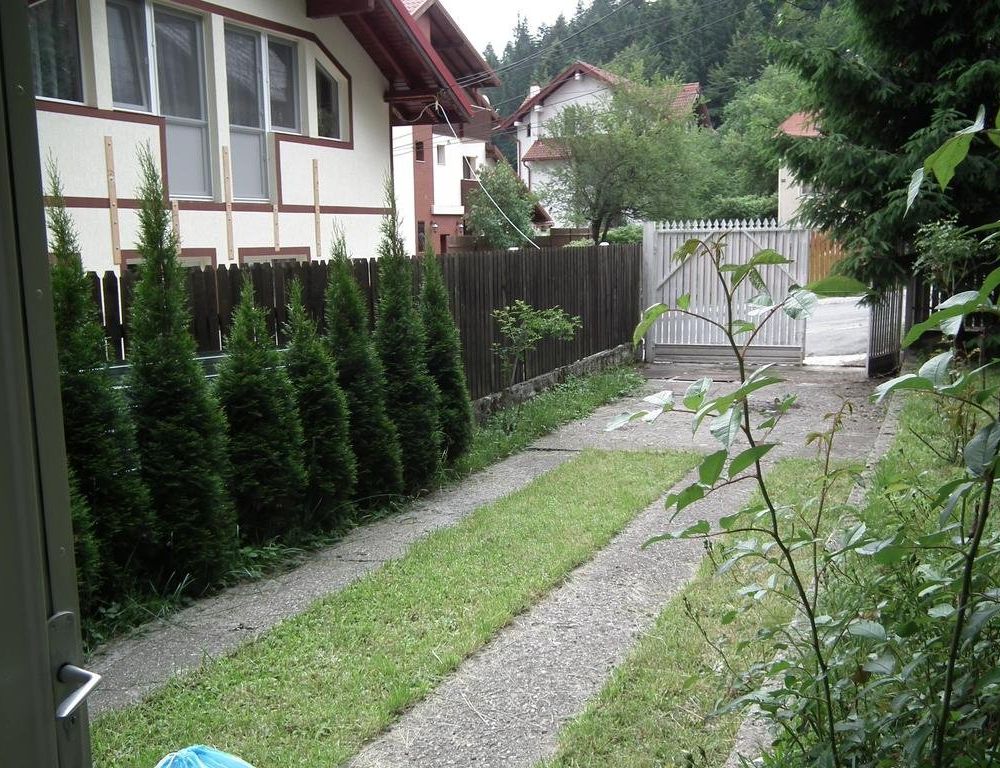 Outdoor Pictures 18