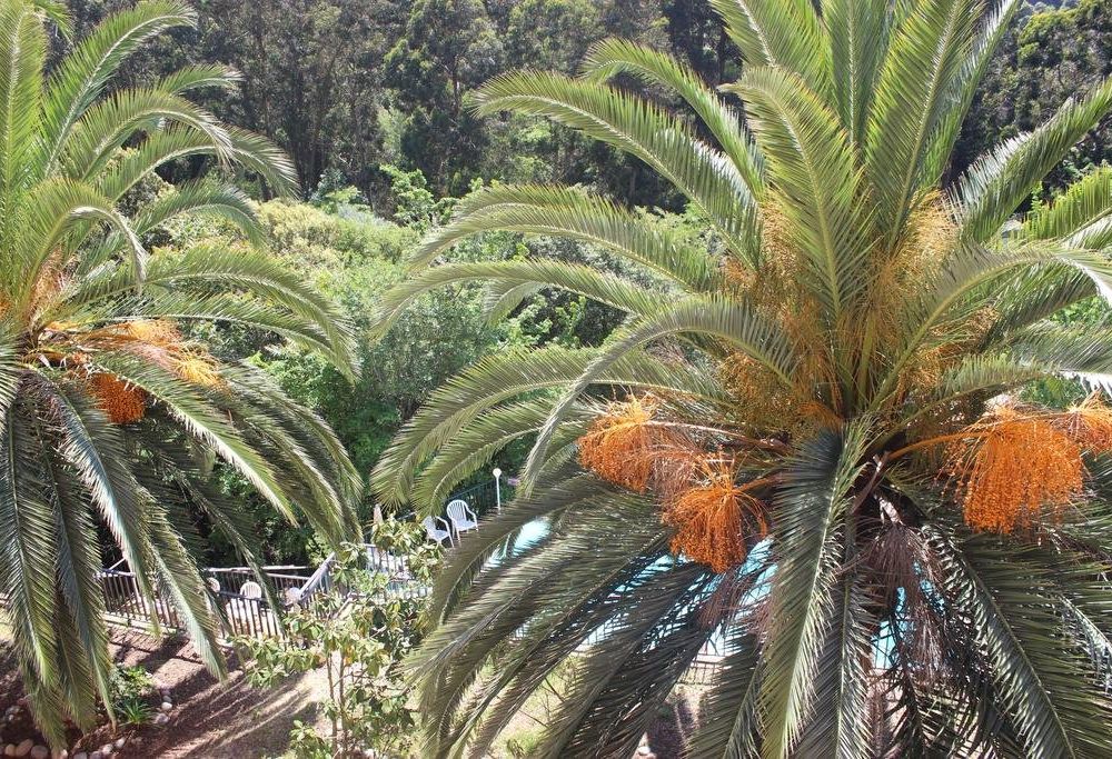 Outdoor Pictures 17