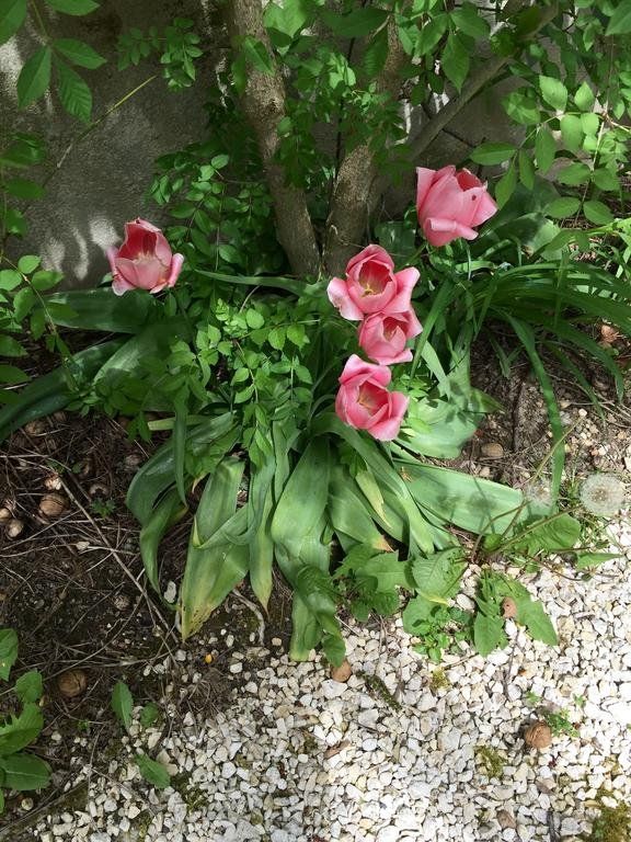 Outdoor Pictures 9