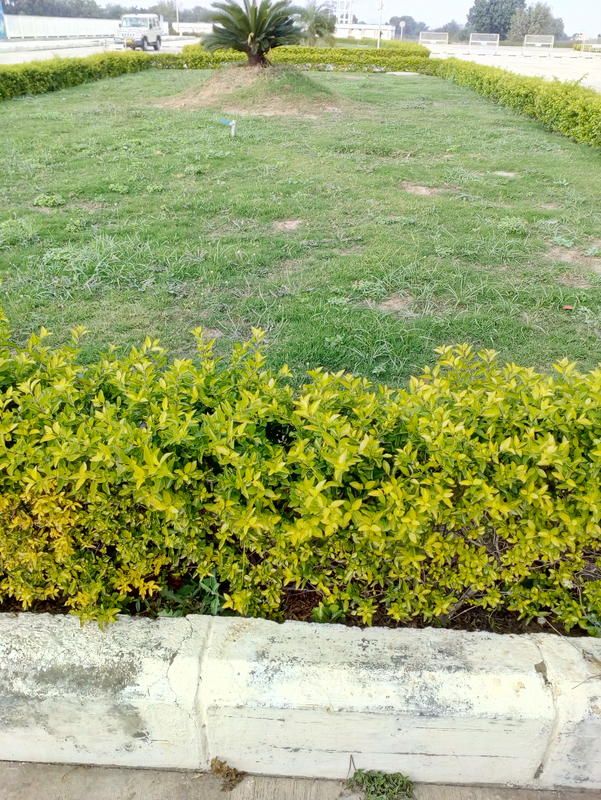 Outdoor Pictures 21