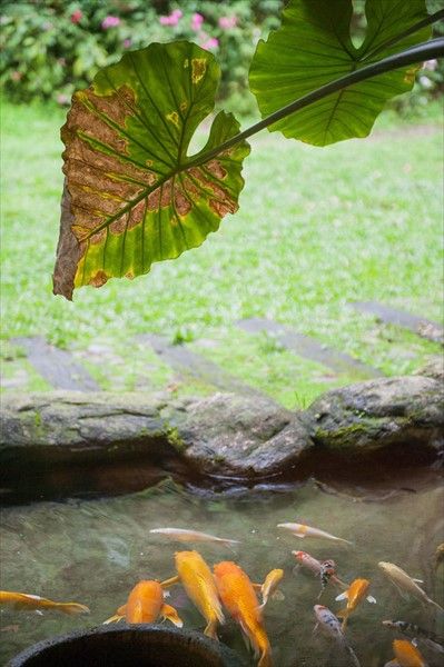 Outdoor Pictures 5