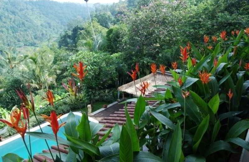 THE PAYANGAN HIDEAWAY