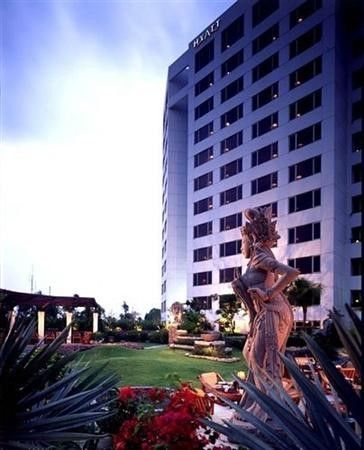Outdoor Pictures 24