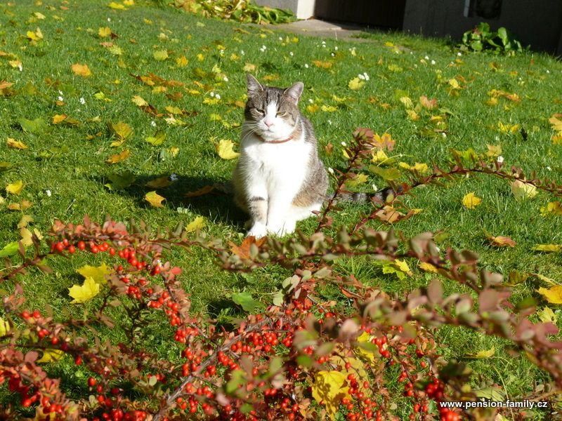 Outdoor Pictures 10