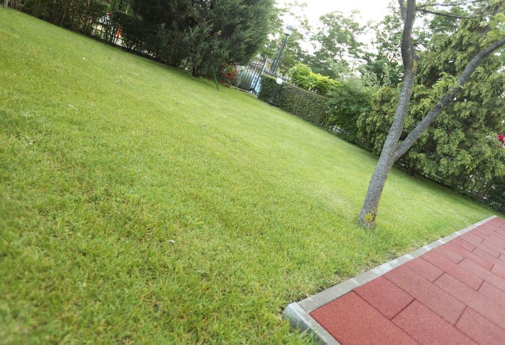 Outdoor Pictures 21