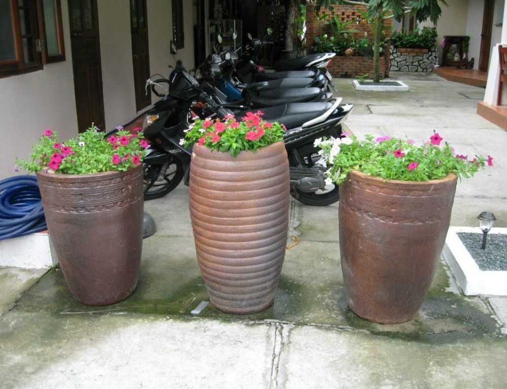 Outdoor Pictures 11