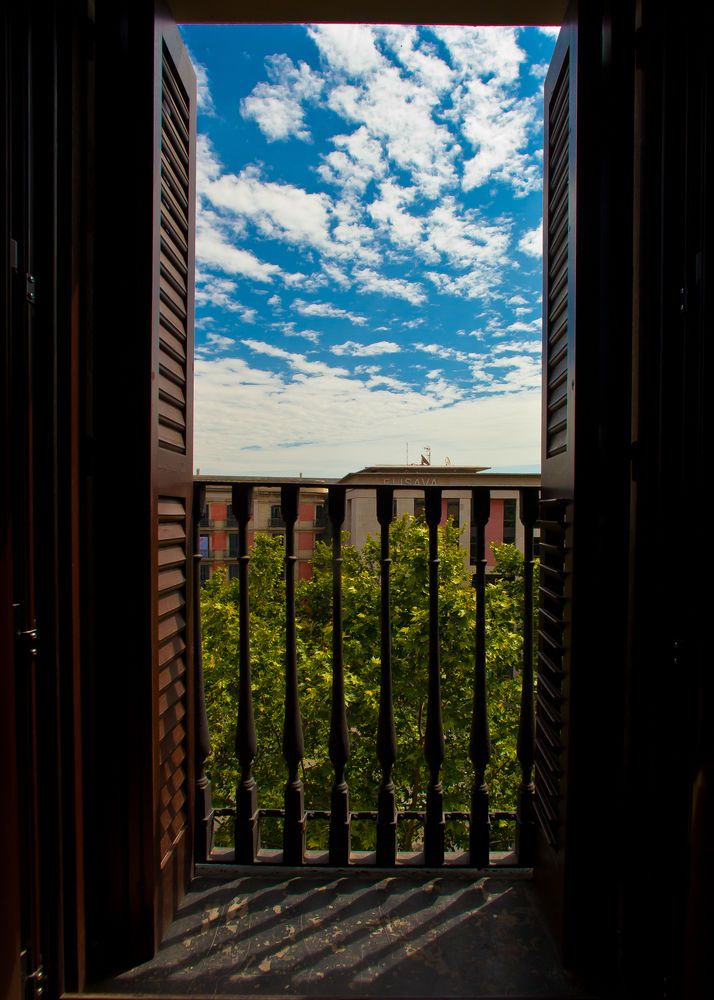 Outdoor Pictures 21