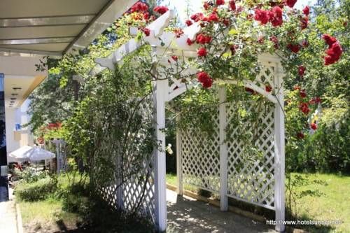 Outdoor Pictures 22