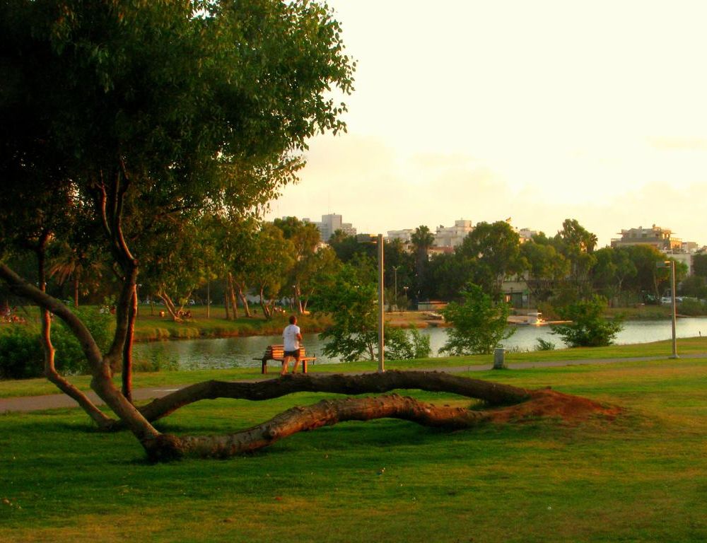 Outdoor Pictures 17