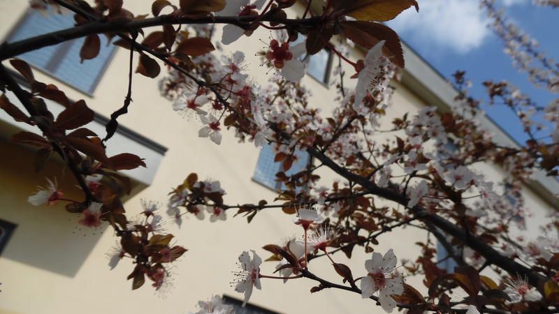 Outdoor Pictures 20