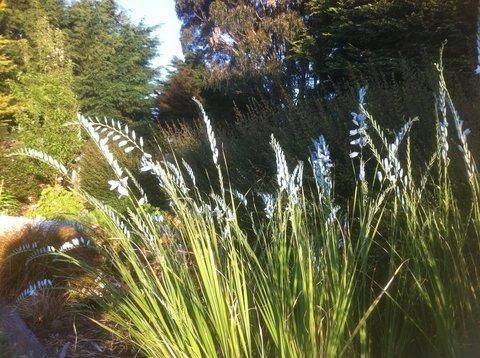 Outdoor Pictures 17