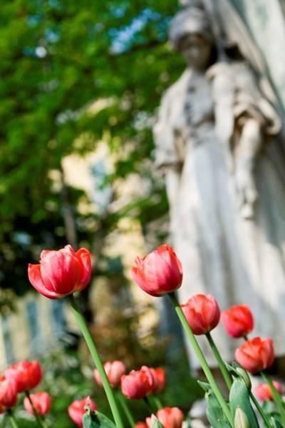 Outdoor Pictures 22
