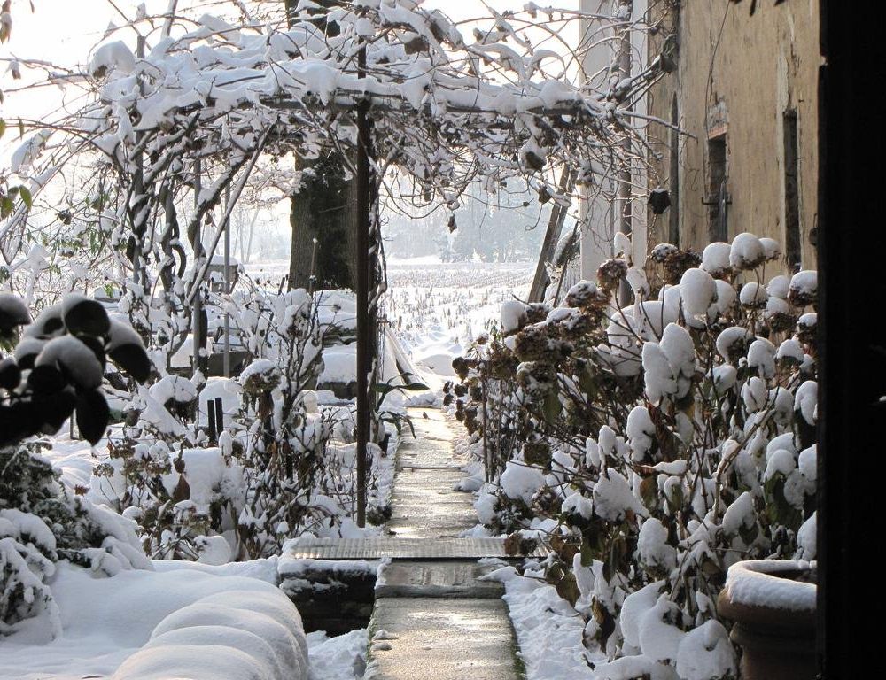 Outdoor Pictures 24