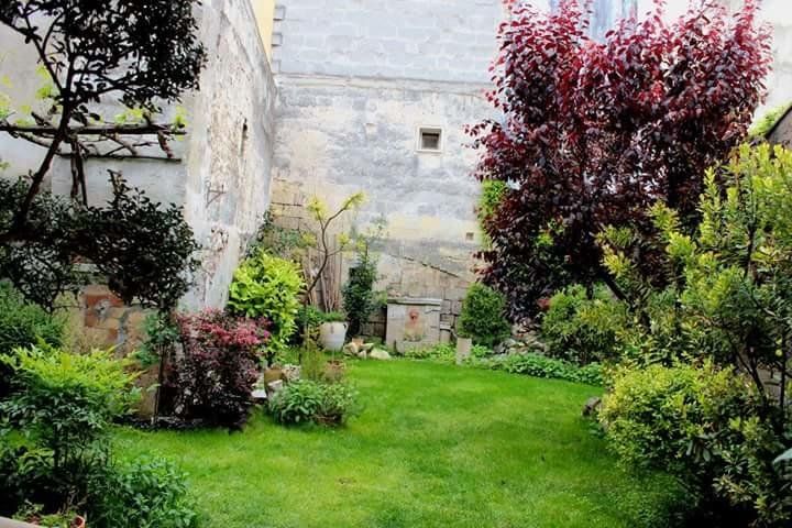 Outdoor Pictures 11