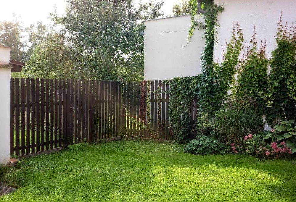 Outdoor Pictures 11