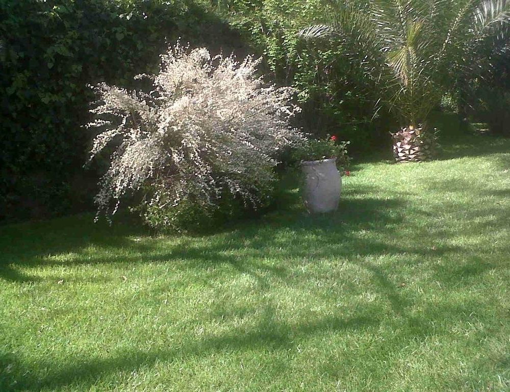 Outdoor Pictures 22