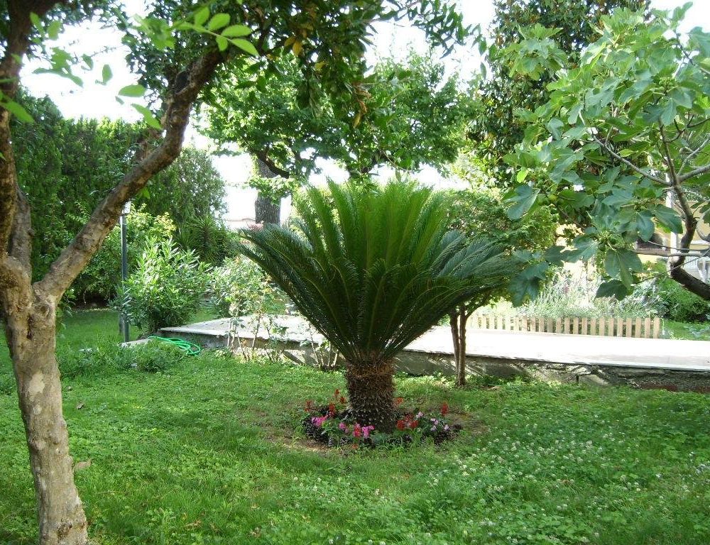 Outdoor Pictures 18