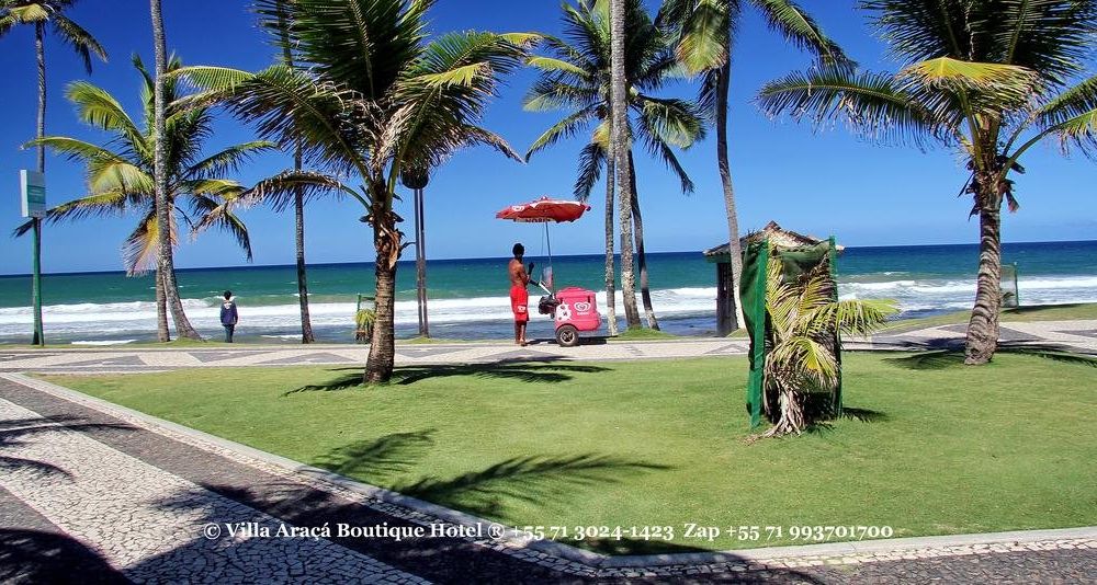 Outdoor Pictures 24