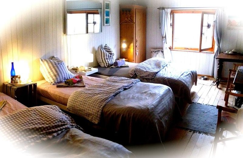 Dog Friendly Guesthouse Scadena