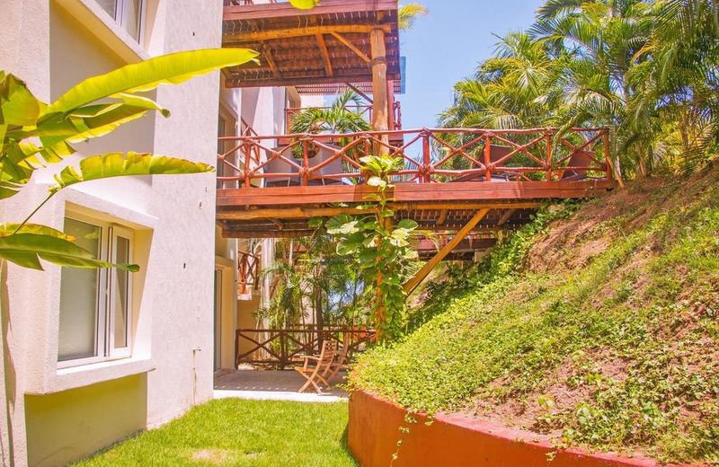 The Phoenix Sayulita