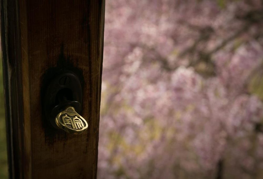 Outdoor Pictures 20