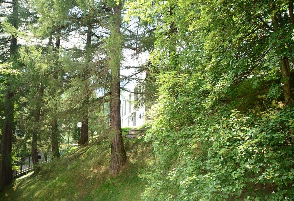 Outdoor Pictures 22