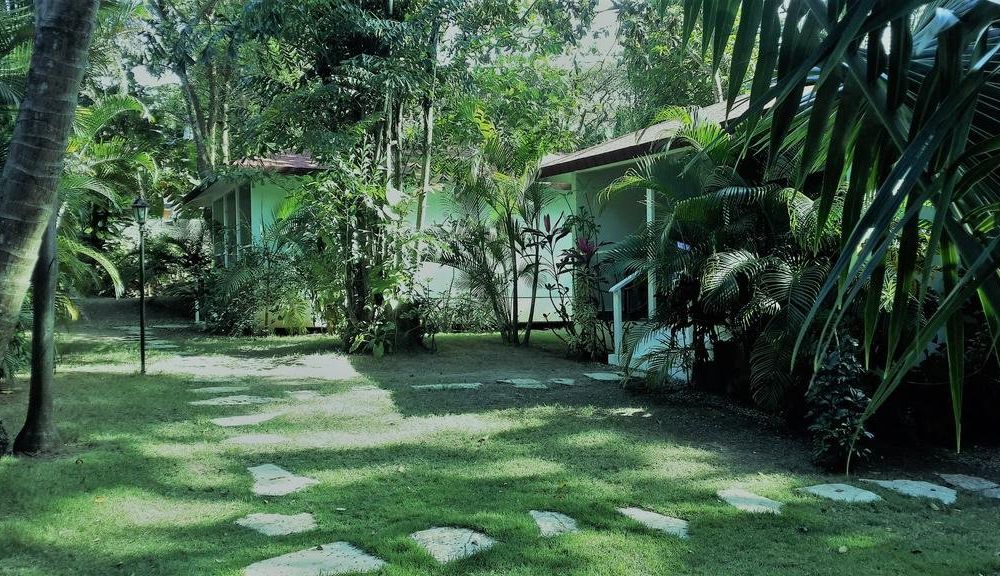 Outdoor Pictures 17