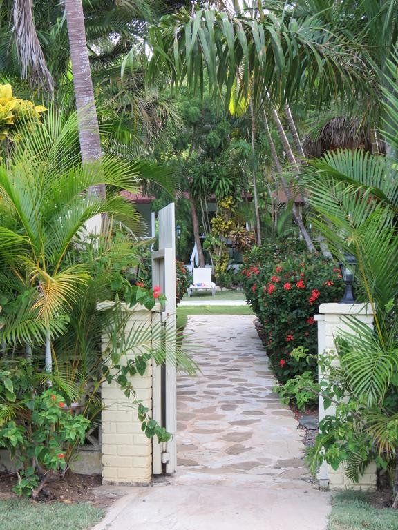 Outdoor Pictures 19