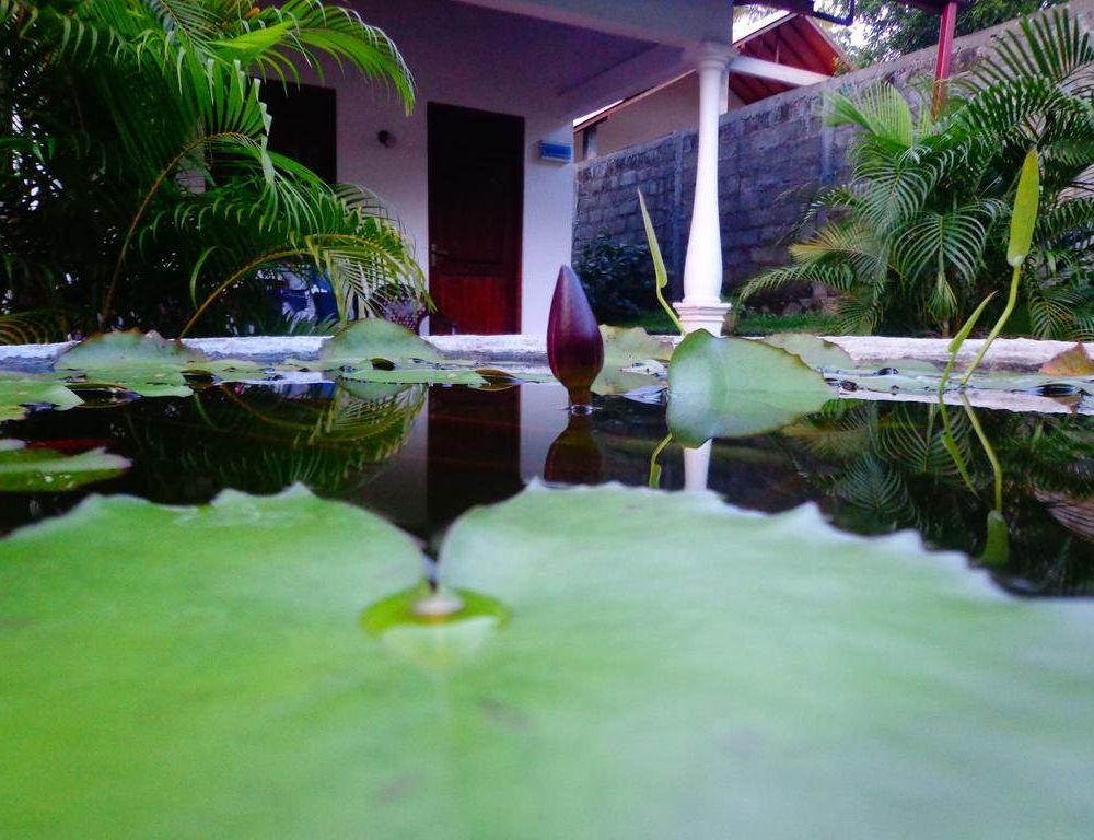 Outdoor Pictures 23
