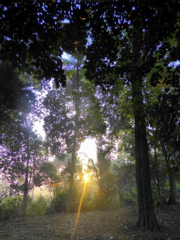 Outdoor Pictures 20