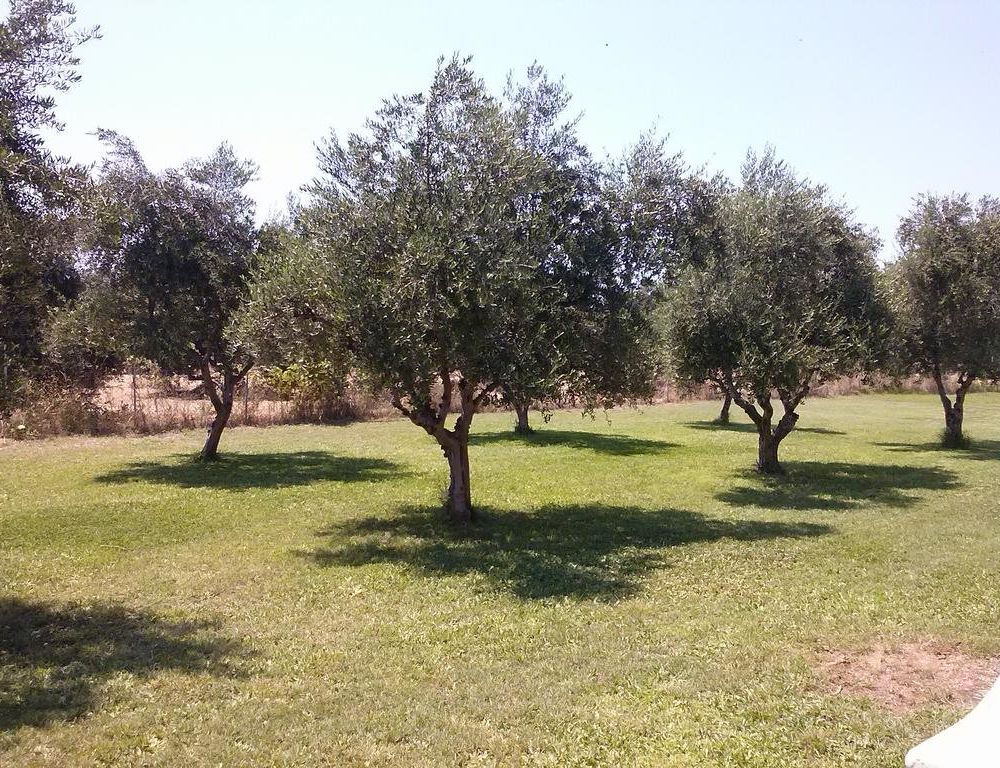 Outdoor Pictures 10